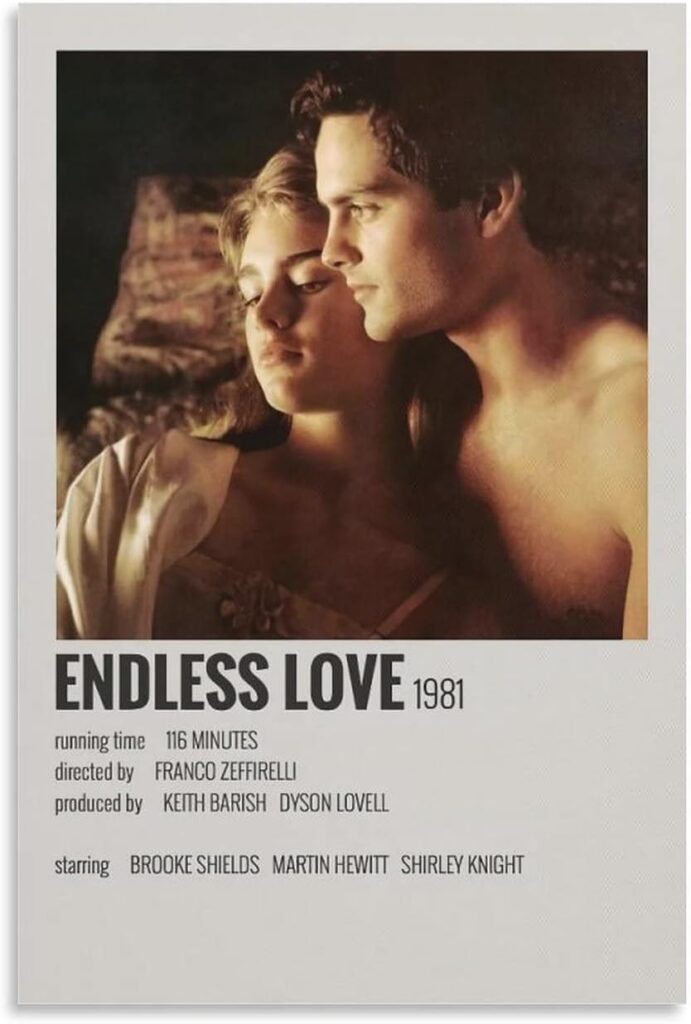 Endless Love (1981) movie poster